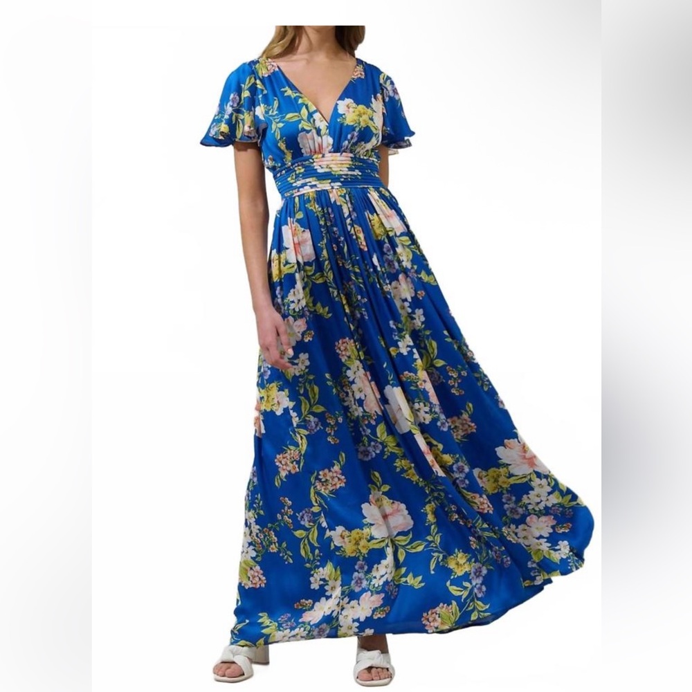 Sugarplums Solary Floral Eloray Pleated Maxi Dress